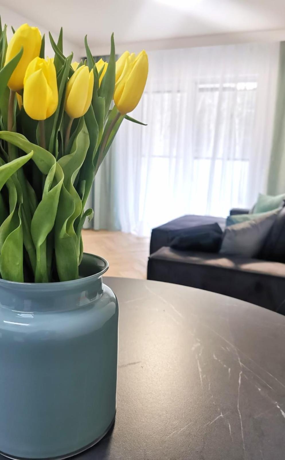 Plazowa Park Apartamenty Miedzywodzie Ngoại thất bức ảnh